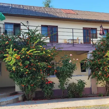 Casa Silvia Costinești