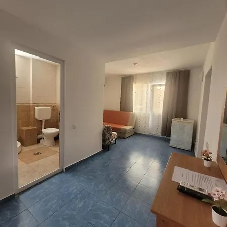 Casa Silvia Costinesti